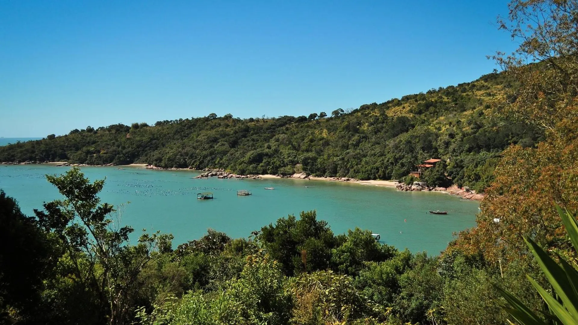 ***** Resort Ponta Dos Ganchos Hotel Governador Celso Ramos Brazil